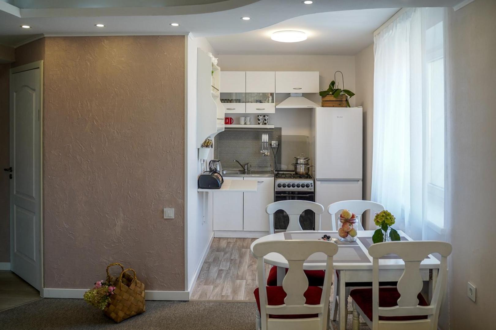Apartamentai Birstono Centre Su Zidiniu Birštonas 外观 照片